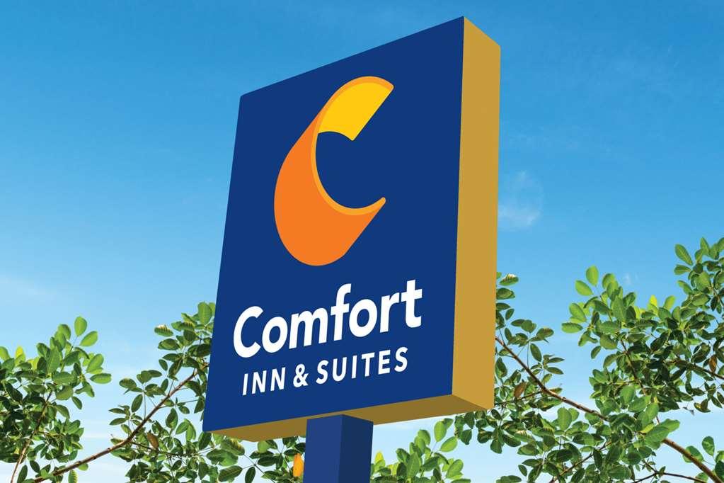 Comfort Inn & Suites Us-60 Mountain Grove Dış mekan fotoğraf